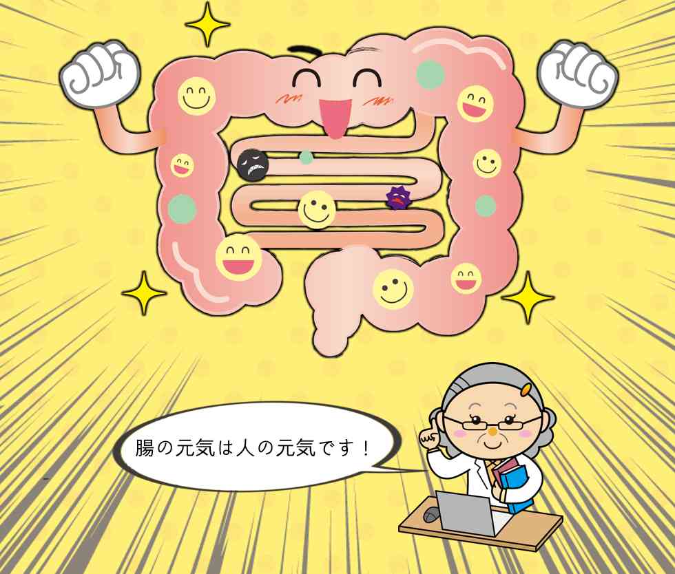 腸の元気は人の元気です！