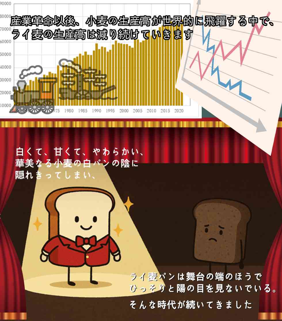 産業革命以後、小麦の生産高が世界的に飛躍する中で、ライ麦の生産高は減り続けていきます。
白くて、甘くて、やわらかい、華美なる小麦の白パンの陰に隠れきってしまい、ライ麦パンは舞台の端の方でひっそりと陽の目を見ないでいる。そんな時代が続いてきました。