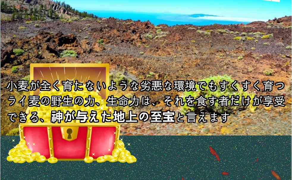 小麦が全く育たないような劣悪な環境でもスクスク育つライ麦の野生の力、生命力は、それを食す者だけが享受できる、神が与えた地上の至宝と言えます。